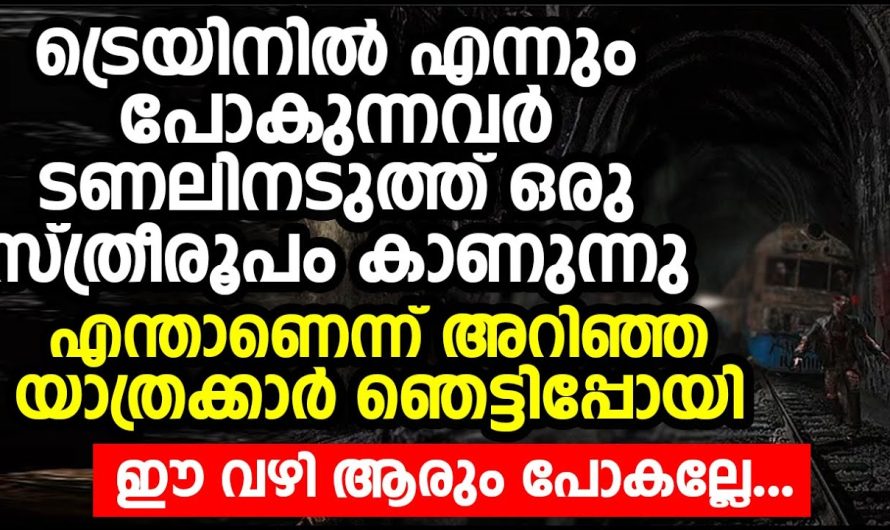 ട്രെയിനിൽ പോകുന്നവർ ടണലിനടുത്ത് ഒരു സ്ത്രീരൂപം കാണുന്നു  യാത്രക്കാർ ഞെട്ടിപ്പോയി