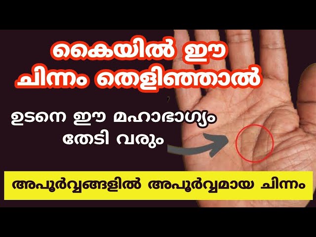 അപൂർവ്വങ്ങളിൽ അപൂർവ്വമായ ചിന്നം കെയ്യിൽ തെളിഞ്ഞാൽ മഹാഭാഗ്യം