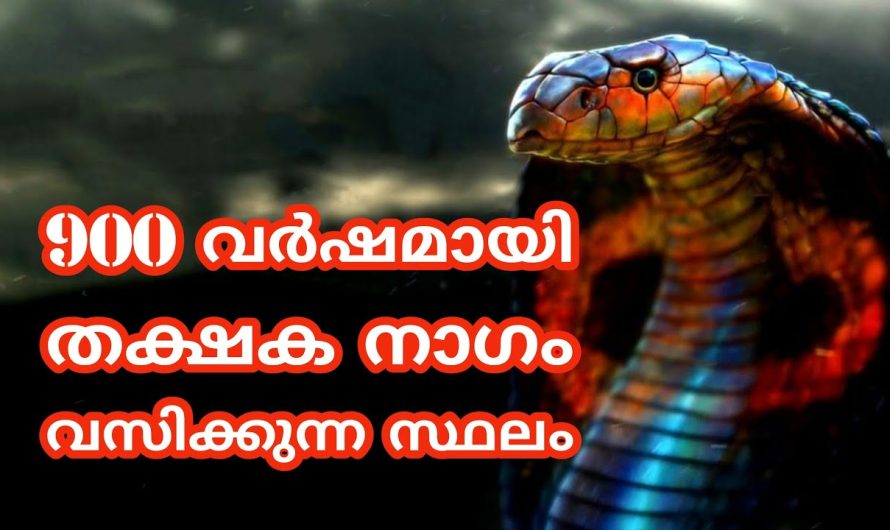 തക്ഷക നാഗത്തെ കുറിച്ച് കേട്ടിട്ടുണ്ടോ?? വർഷത്തിലൊരിക്കൽ മാത്രം ദർശനം!