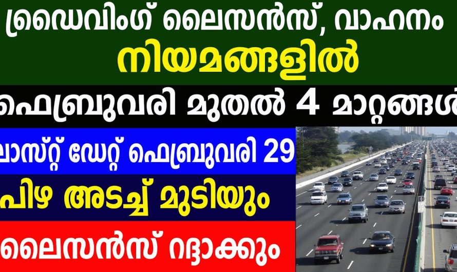 ഡ്രൈവിംഗ് ലൈസൻസ്, വാഹന നിയമങ്ങളിൽ ഫെബ്രുവരി മുതൽ 4 മാറ്റങ്ങൾ