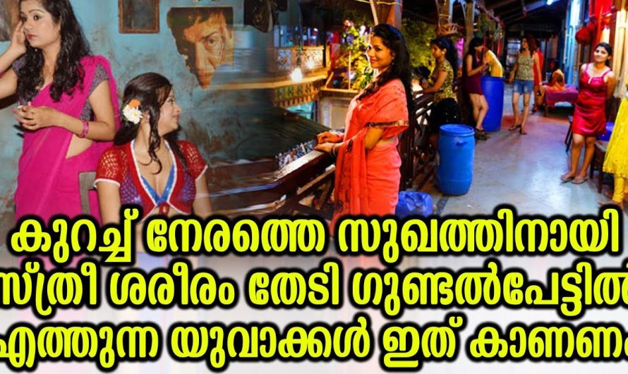 ഗുണ്ടൽപേട്ടിൽ എത്തുന്ന യുവാക്കൾ ഇതൊന്ന് കാണണം