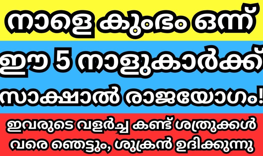 നാളെ മുതൽ ഈ 7 നാളുകാർക്ക് സാക്ഷാൽ രാജയോഗം ആരംഭിക്കുന്നു, മഹാഭാഗ്യം വരുന്നു