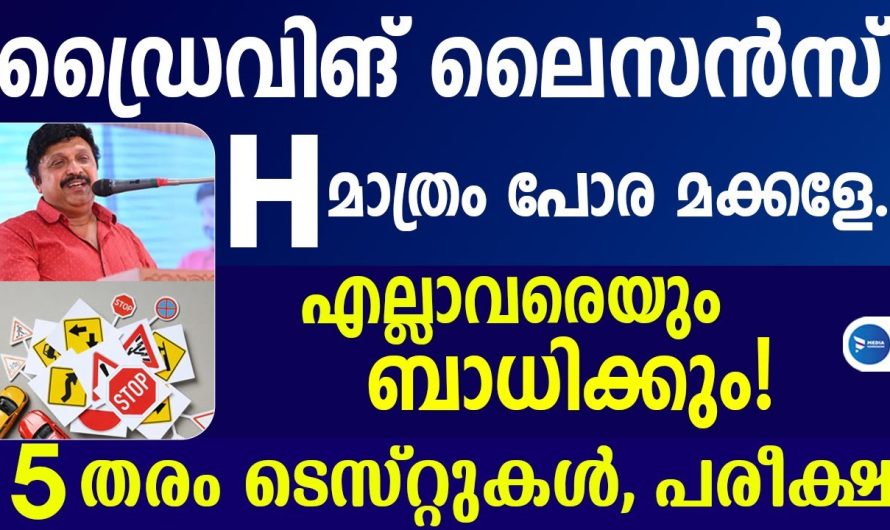 മെയ് മുതൽ പുതിയ ഡ്രൈവിംഗ് ടെസ്റ്റ് ശ്രദ്ധിക്കേണ്ട 5 കാര്യങ്ങൾ