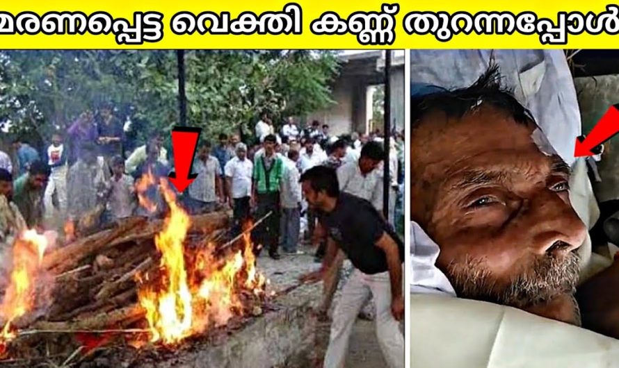 മരണപ്പെട്ട് എന്ന് കരുതി കത്തിച്ചു, ശേഷം നടന്നത് അത്ഭുതം!