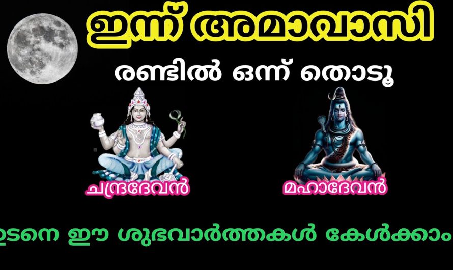 ഇന്ന് അമാവാസി ഈ നാളുകാർക്ക് ശുഭ വാർത്തകൾ കേൾക്കാം