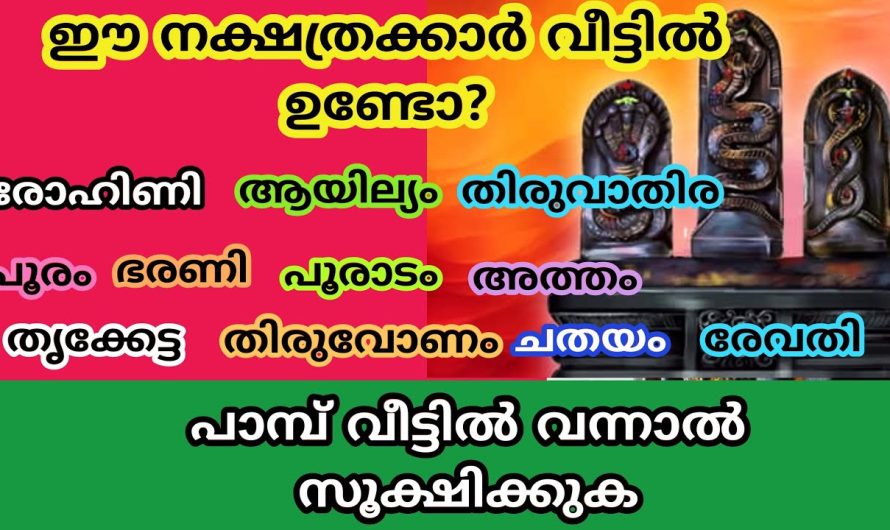 നാഗദൈവം അനുഗ്രഹത്താൽ രാജയോഗം ഉള്ള നക്ഷത്രക്കാർ