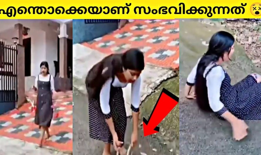 സംഭവം ക്യാമറയിൽ പതിഞ്ഞത് ഭാഗ്യം, തെളിവുണ്ടായി