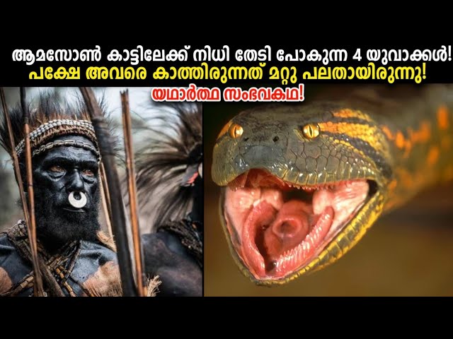 ആമസോണിലേക്ക് നിധി തേടി പോയ 4 യുവാക്കളുടെ  കഥ