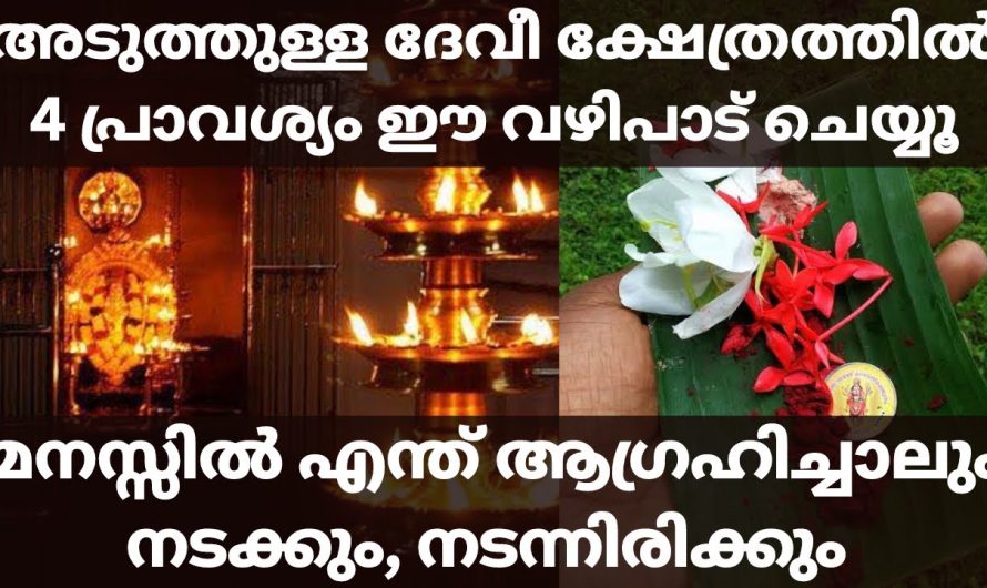 ദേവീക്ഷേത്രത്തിൽ ഒരാഗ്രഹം വിചാരിച്ച് നാല് പ്രാവശ്യം ഈ പുഷ്പാഞ്ജലി ചെയ്തു നോക്കൂ.. ഫലം ഉറപ്പ്