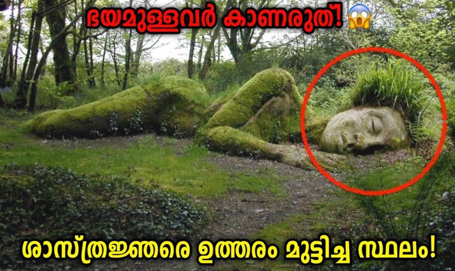 ഭയമുള്ളവർ കാണരുത്!⚠️ ഇന്നും ചുരുളഴിയാത്ത രഹസ്യങ്ങൾ!