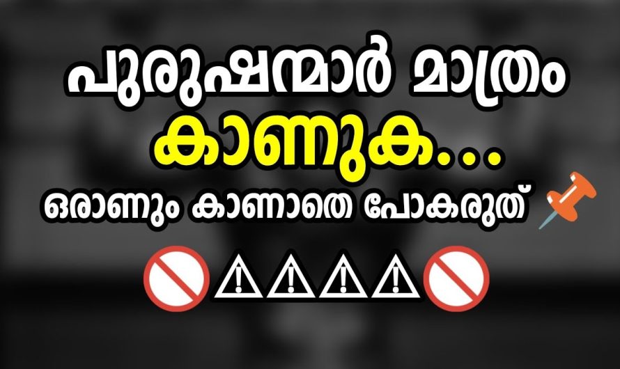 ആണുങ്ങൾ മാത്രം കാണുക 👁| ഒരു പുരുഷനും കാണാതെ പോകരുത് ✨