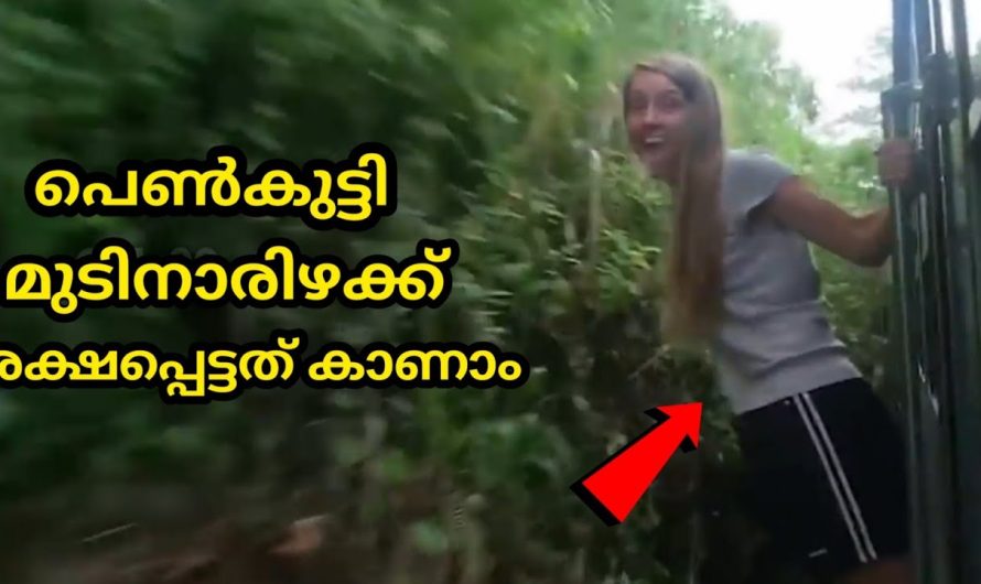 ഈ പെൺകുട്ടി ചെയ്യുന്നത് കണ്ടോ??  കാലൻ അവധിക്ക് എടുത്തേക്കുവാണ്