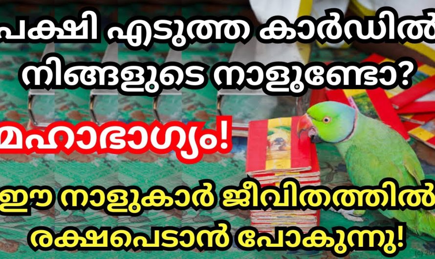 ഈ നക്ഷത്രക്കാരാണോ നിങ്ങൾ? എങ്കിൽ മഹാഭാഗ്യം തേടി വരാൻ പോകുന്നു കേട്ടുനോക്കൂ