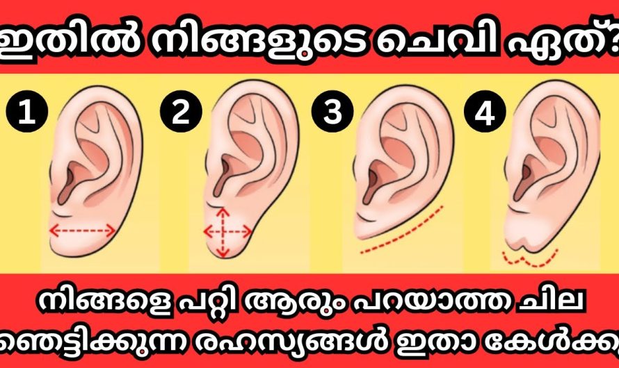 നിങ്ങളുടെ ചെവി ഇതിൽ ഏത്? നോക്കൂ, നിങ്ങളെ പറ്റി  ചില രഹസ്യങ്ങൾ കേൾക്കൂ