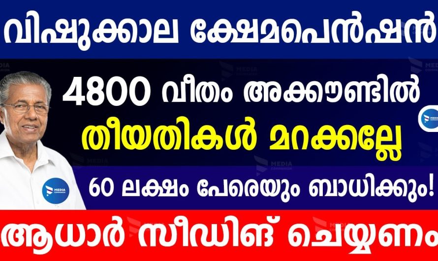 വിഷുക്കാല പെൻഷൻ 4800രൂപ വിതരണം പ്രഖ്യാപിച്ചു.60 ലക്ഷം പേർക്ക്