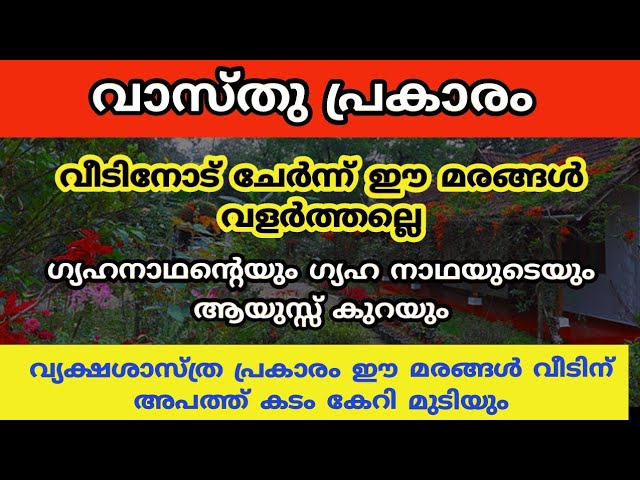 വൃക്ഷശാസ്ത്രപ്രകാരം ഈ മരങ്ങൾ വീടിന് ആപത്ത് ഈ മരങ്ങൾ വളർത്തല്ലേ..