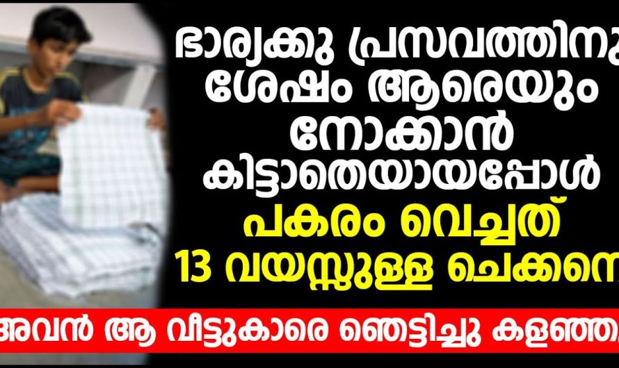 ഭാര്യയുടെ പ്രസവത്തിനു ശേഷം നോക്കാൻ നിർത്തിയത് 13 വയസ്സുള്ള ചെക്കനെ.. അവൻ ചെയ്യുന്നത് കൊണ്ട് ആ വീട്ടുകാർ ഞെട്ടിപ്പോയി