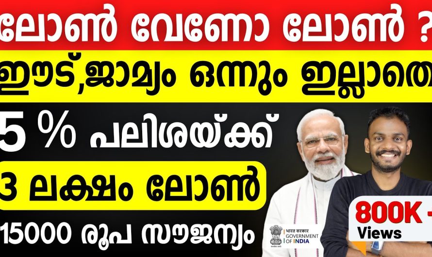 ലോൺ വേണോ ലോൺ?? ഇട് ജാമ്യം ഒന്നുമില്ലാതെ 5% പലിശയ്ക്ക് 3 ലക്ഷം ലോൺ