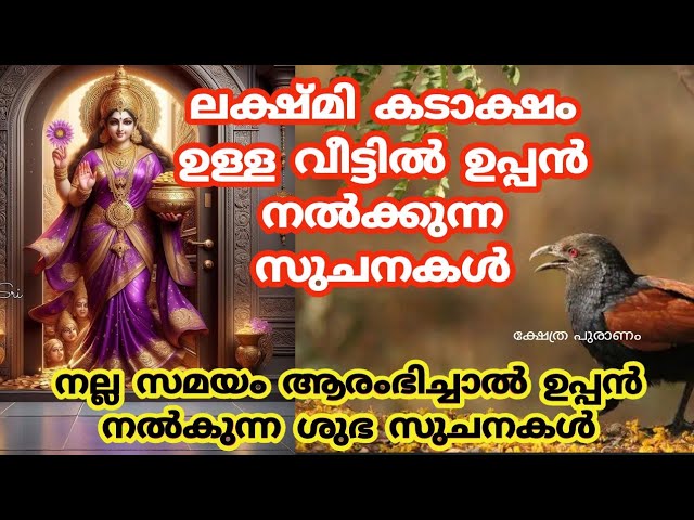 ലക്ഷ്മി ദേവി പടി കടന്ന് വന്നാൽ മാത്രം ഉപ്പൻ വീട്ടിൽ നൽകുന്ന ലക്ഷ്ണങ്ങൾ