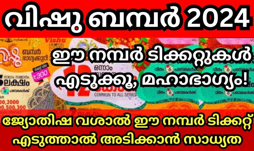 ജ്യോതിഷവശാൽ വിഷു ബംബർ ഈ നമ്പർ ടിക്കറ്റ് എടുത്താൽ അടിക്കാൻ സാധ്യത..