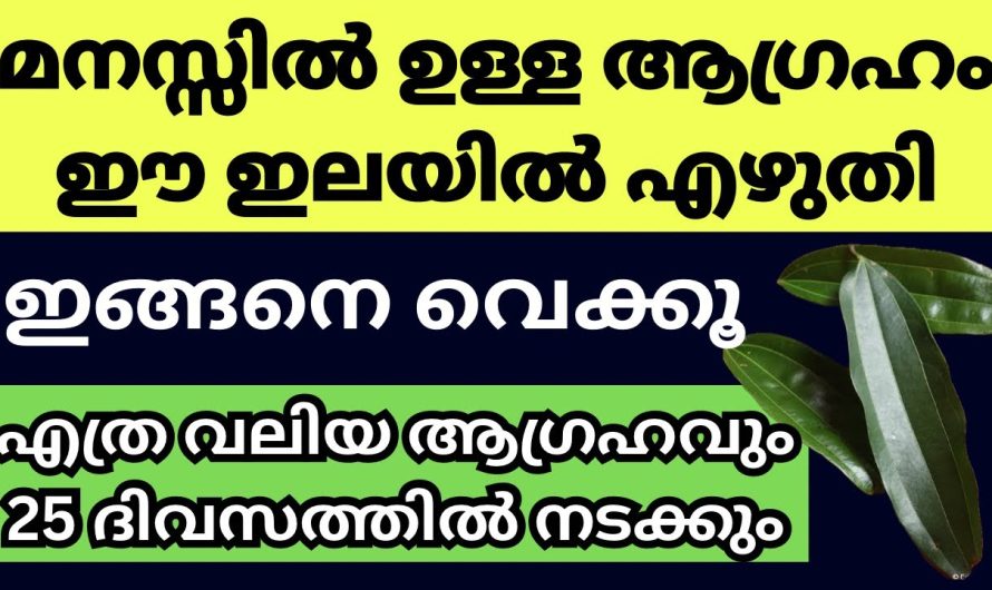 എത്ര വലിയ ആഗ്രഹവും 25 ദിവസത്തിനുള്ളിൽ നടക്കും.ഇങ്ങനെ ചെയ്താൽ…