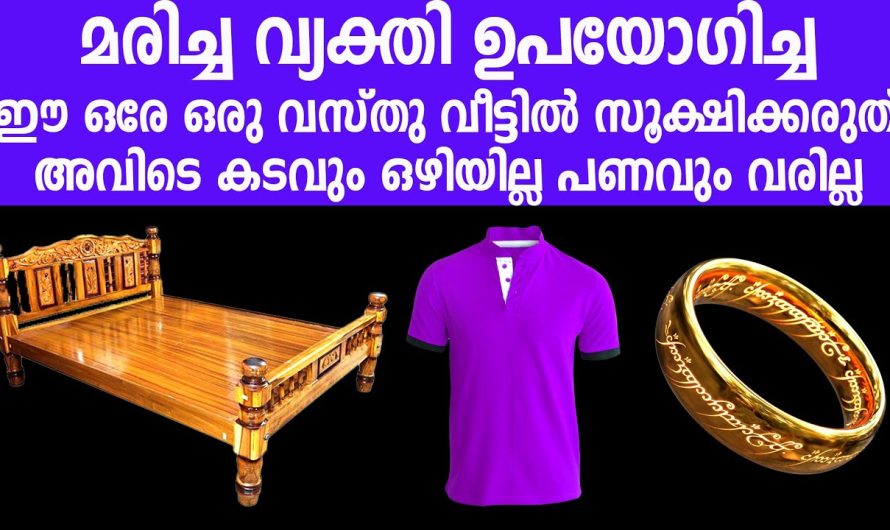 ഈ ഒരേ ഒരു വസ്തു വീട്ടിൽ സൂക്ഷിക്കരുത് വീട്ടിൽ കടവും ഒഴിയില്ല പണവും വരില്ല