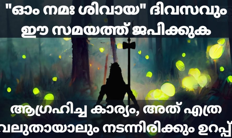 ഓം നമഃ ശിവായ ദിവസവും ഈ സമയത്ത് ജപിക്കുക  നിങ്ങളുടെ ആഗ്രഹംനടന്നിരിക്കും 🙏