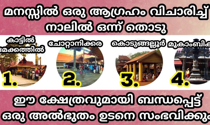 നിങ്ങളുടെ ആഗ്രഹം  അമ്മ നടത്തി തരുമോ ഇല്ലയോ എന്ന് അറിയാം