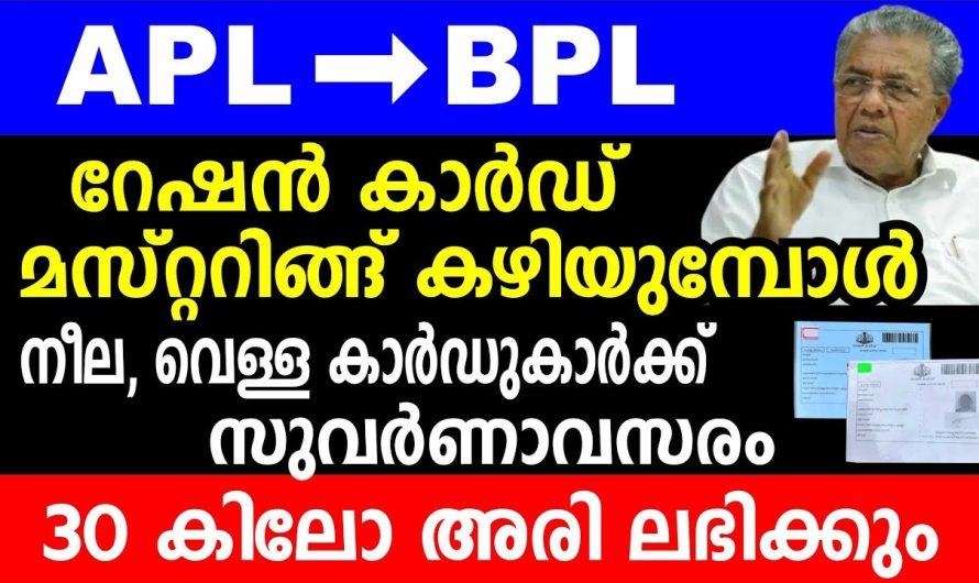 നീലാ വെള്ളറേഷൻ കാർഡ് വർക്ക് ഇതാ സുവർണ്ണാവസരം…. വേണ്ട എന്ന് വയ്ക്കല്ലേ