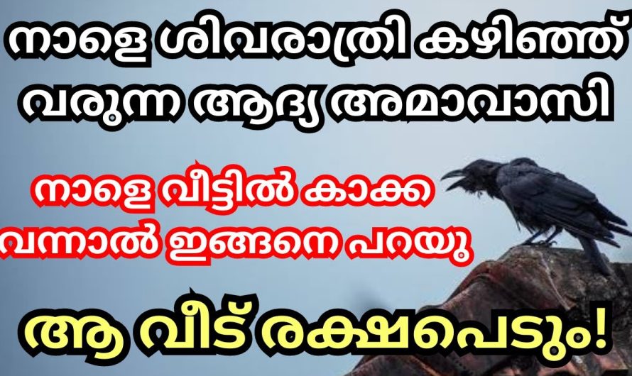 ഈ അവസരം നഷ്ടപ്പെടുത്തിയാൽ വിഷമിക്കേണ്ടി വരും, വിട്ട് കളയല്ലേ