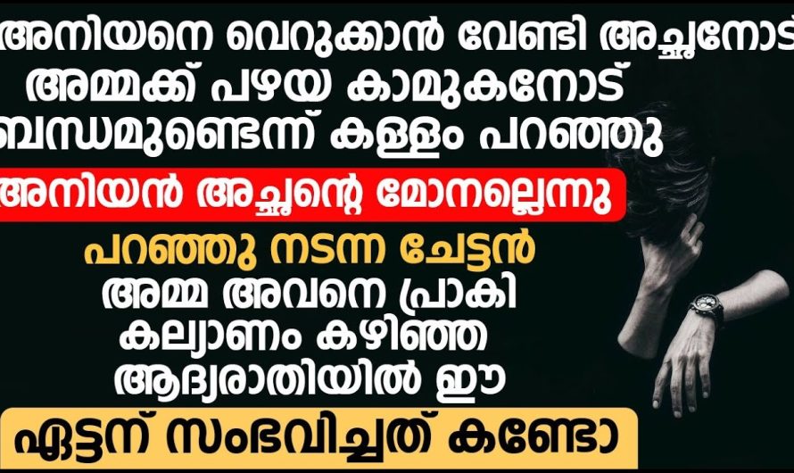 അനിയൻ അച്ഛന്റെ മോനല്ലാന്ന് പറഞ്ഞ് നടന്ന ചേട്ടന് കല്യാണ ദിവസം ആദ്യ രാത്രിയിൽ സംഭവിച്ചത് കണ്ടോ??