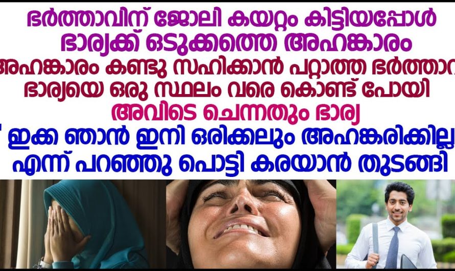 ഭാര്യയുടെ അഹങ്കാരം മാറ്റാൻ ഈ ഭർത്താവ് ചെയ്ത പണി കണ്ടോ