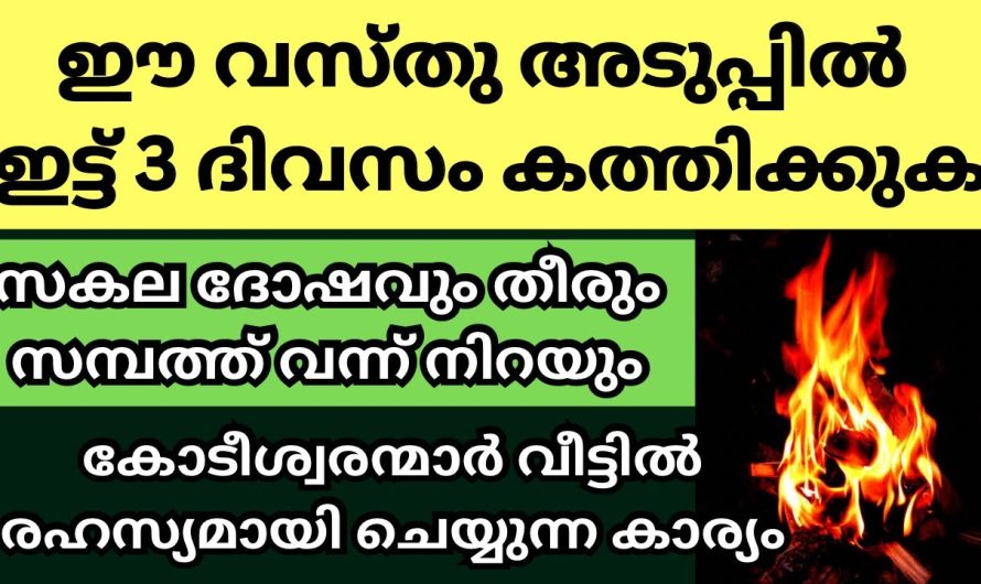 ഈ വസ്തു അടുപ്പിൽ ഇട്ട് കത്തിക്കുക, വീട്ടിലെ സകല സാമ്പത്തിക പ്രശ്നങ്ങളും തീരും,