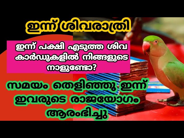 പക്ഷി ശാസ്ത്ര പ്രകാരം ഇന്ന് രാജയോഗം ആരംഭിച്ച നക്ഷത്രക്കാർ