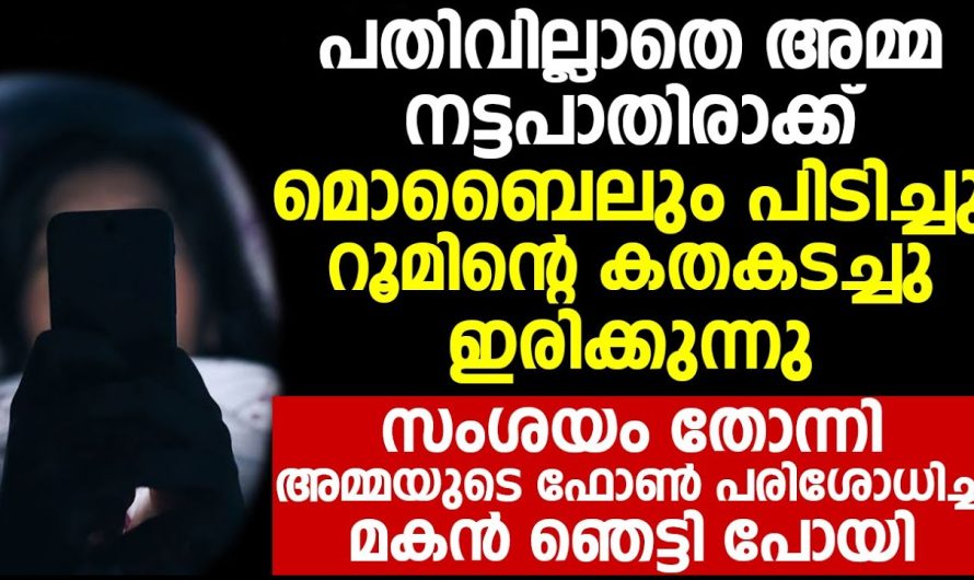 സംശയം തോന്നി അമ്മയുടെ ഫോൺ പരിശോധിച്ച മകൻ ഞെട്ടി പോയി