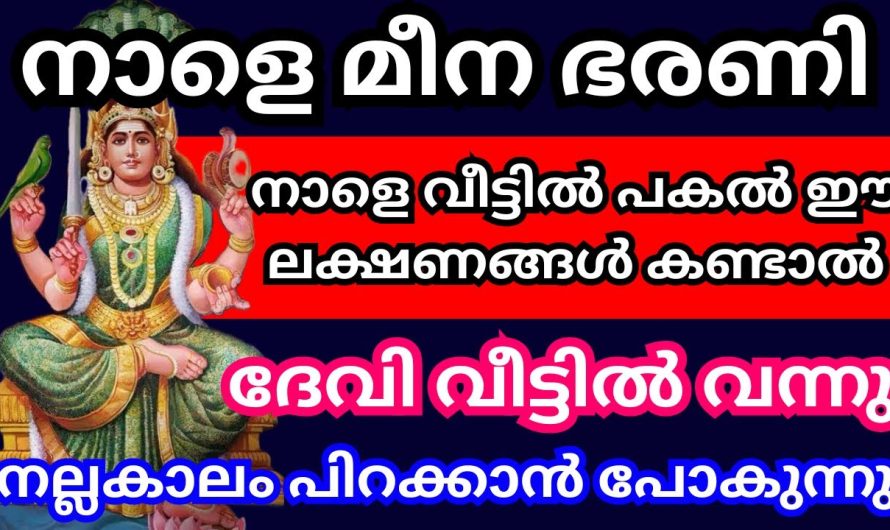 ഇതിലും വലിയൊരു ഭാഗ്യമുണ്ടോ, ദേവിയല്ലാതൊരു അഭയമുണ്ടോ – കണ്ടാൽ മഹാഭാഗ്യം