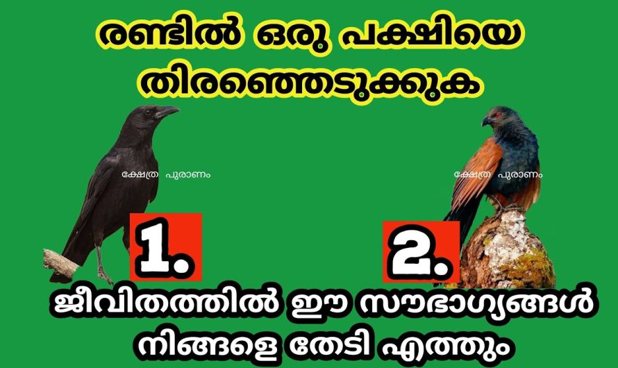 ഈ സൗഭാഗ്യങ്ങൾ ജീവിതത്തിൽ നിങ്ങളെ തേടി എത്തും