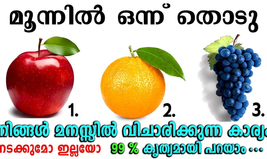 മനസ്സിലുള്ള കാര്യം നടക്കുമോ ഇല്ലയോ,ഉടനെ ചെയ്യേണ്ടത്