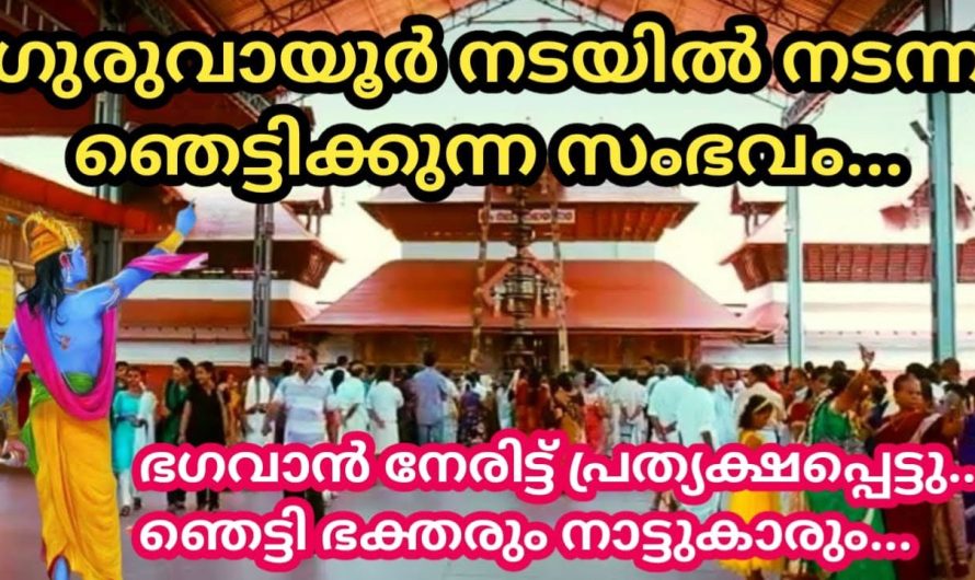 .ഗുരുവായൂർ നടയിൽ നടന്ന ഞെട്ടിക്കുന്ന സംഭവം – ഞെട്ടി ക്ഷേത്രം തന്ത്രിയും ഭക്തരും.