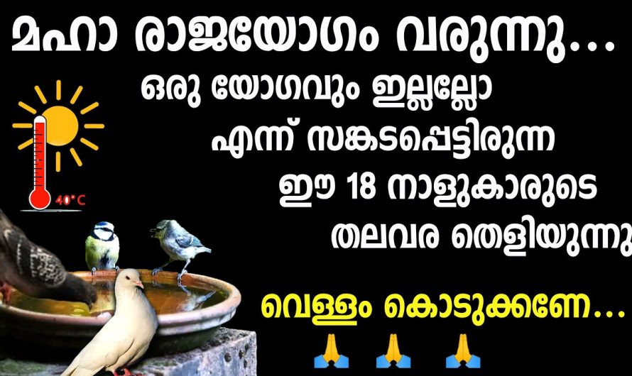 ഈ 18 നാളുകാരുടെ രണ്ടാം ജന്മം,മഹാരാജയോഗം എത്തുന്നു