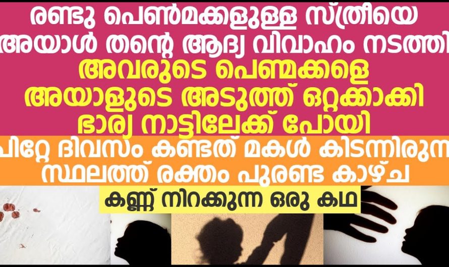 2 പെൺമക്കളുള്ള സ്ത്രീയെ അയാൾ തന്റെ ആദ്യ വിവാഹം നടത്തി പിന്നെ സംഭവിച്ചത്