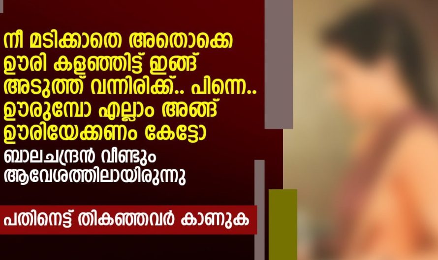 അവളുടെ സമ്മതം കിട്ടിയതും ആവേശത്തോടെ ബാലചന്ദ്രൻ