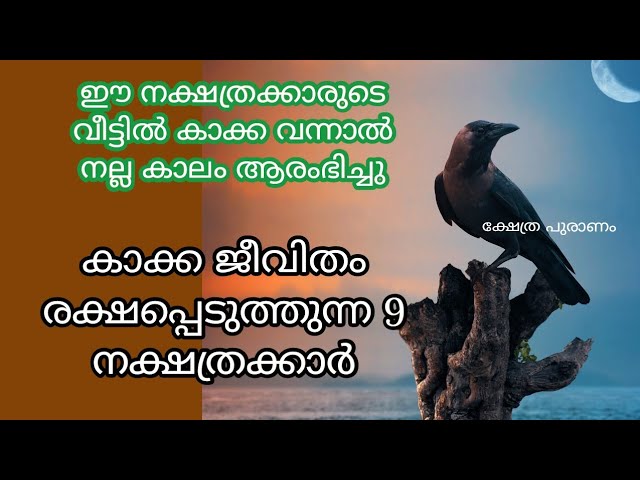 ഈ 9 നക്ഷത്രക്കാർക്ക് കാക്ക ദൈവത്തിന് തുല്യം