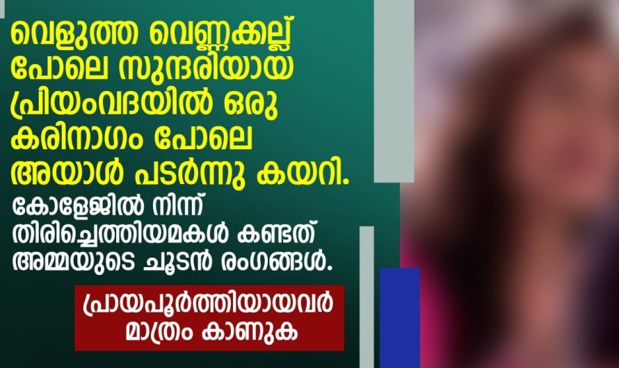 കോളേജിൽ നിന്ന് തിരിച്ചെത്തിയ മകൾ വീട്ടിൽ കണ്ട കാഴ്ച….