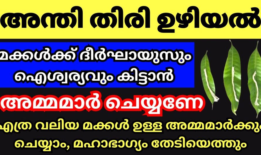 കുടുംബിനികൾ അറിഞ്ഞിരിക്കണം ഇത് വീടിന്റെ ഐശ്വര്യത്തിനായി ചെയ്യേണ്ട പ്രധാന കാര്യം,