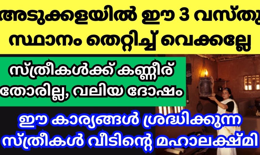 ഈ 3 വസ്തുക്കൾ, വാസ്തുവിൽ സ്ത്രീകൾക്കായി പറയുന്ന പ്രധാന കാര്യം