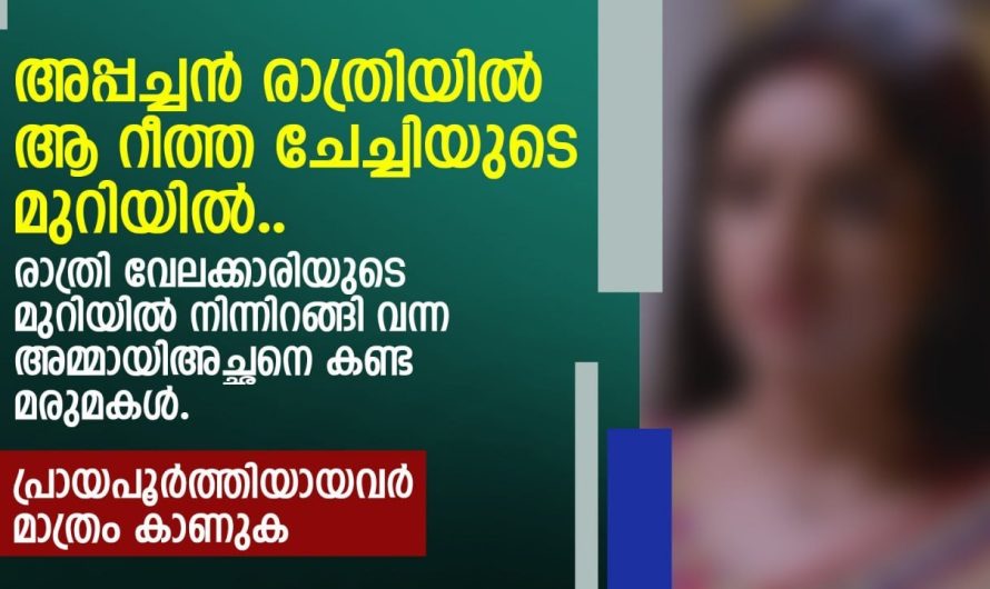 രാത്രി വേലക്കാരിയുടെ മുറിയിൽ  അമ്മായിയച്ഛനെ മരുമകൾ കണ്ടപ്പോൾ പറഞ്ഞത് കേട്ടോ..