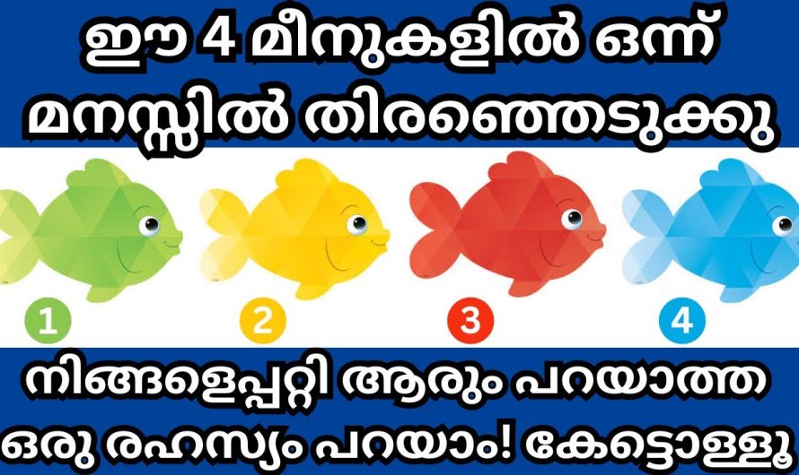 നിങ്ങളെപ്പറ്റി ആരും പറയാത്ത ഒരു രഹസ്യം പറയാം കേട്ടോളൂ….