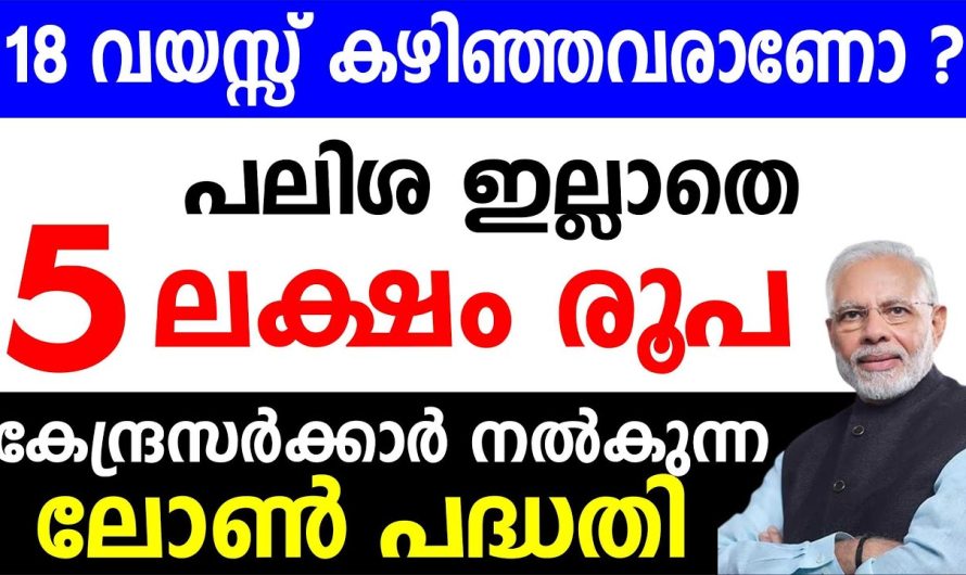 18 വയസ്സ് കഴിഞ്ഞവരാണോ?? കേന്ദ്രസർക്കാർ നൽകുന്ന പലിശരഹിത വായ്പ 5 ലക്ഷം രൂപ വരെ