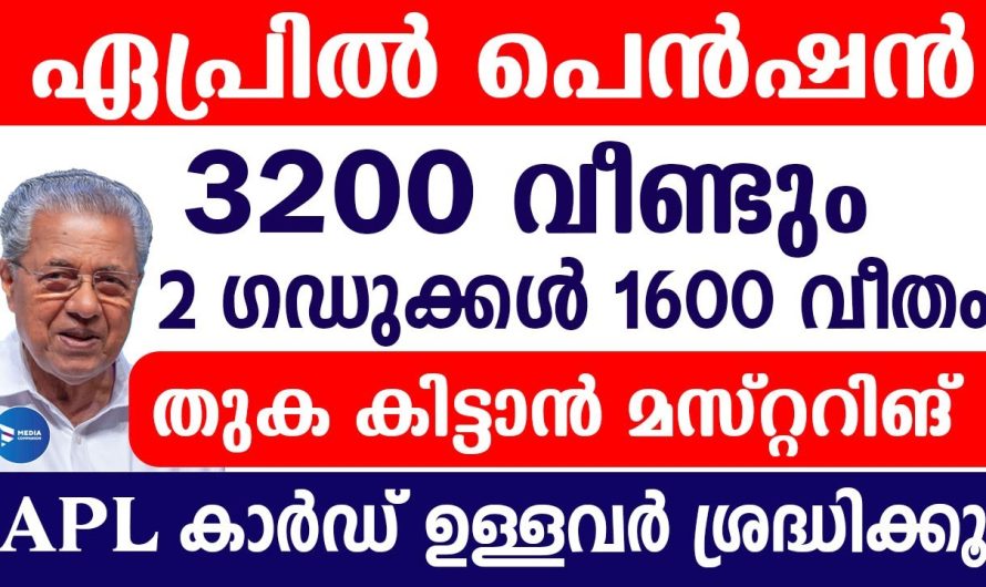 ക്ഷേമപെൻഷൻ 3200 കുടിശ്ശിക വിതരണം വീണ്ടും|2 മാസ സഹായം ഇവർക്കെല്ലാം